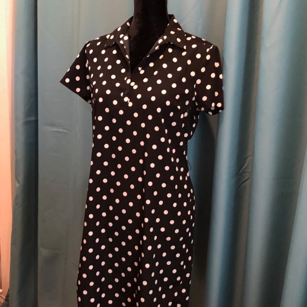 Ann Taylor Polka Dot Shirt Dress Size 6